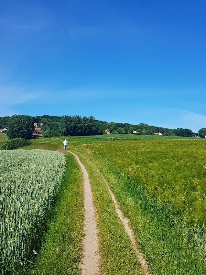 B&B Le Reclus Mont-de-l'Enclus Exteriör bild