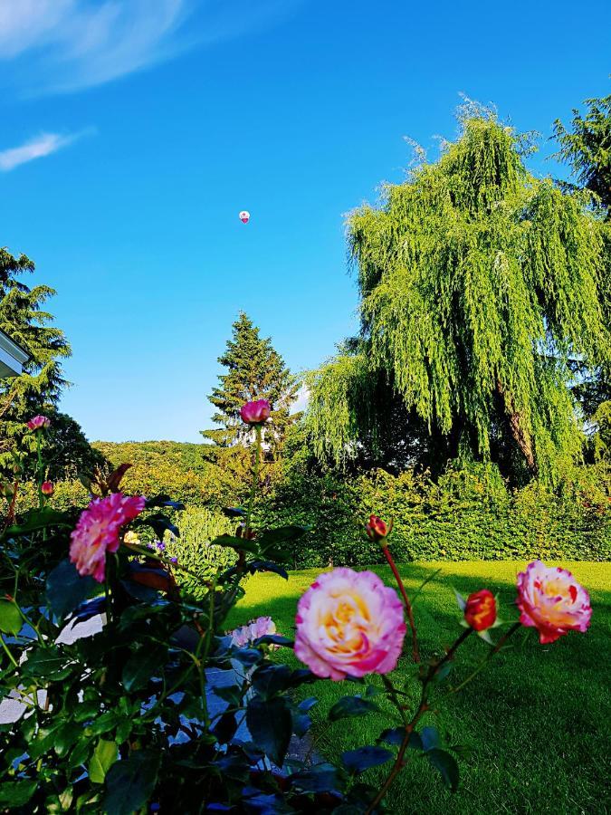 B&B Le Reclus Mont-de-l'Enclus Exteriör bild